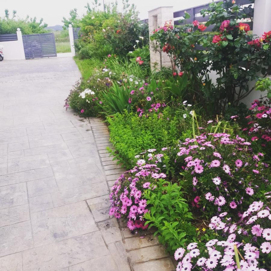 Dream House Appartement Preveza Buitenkant foto